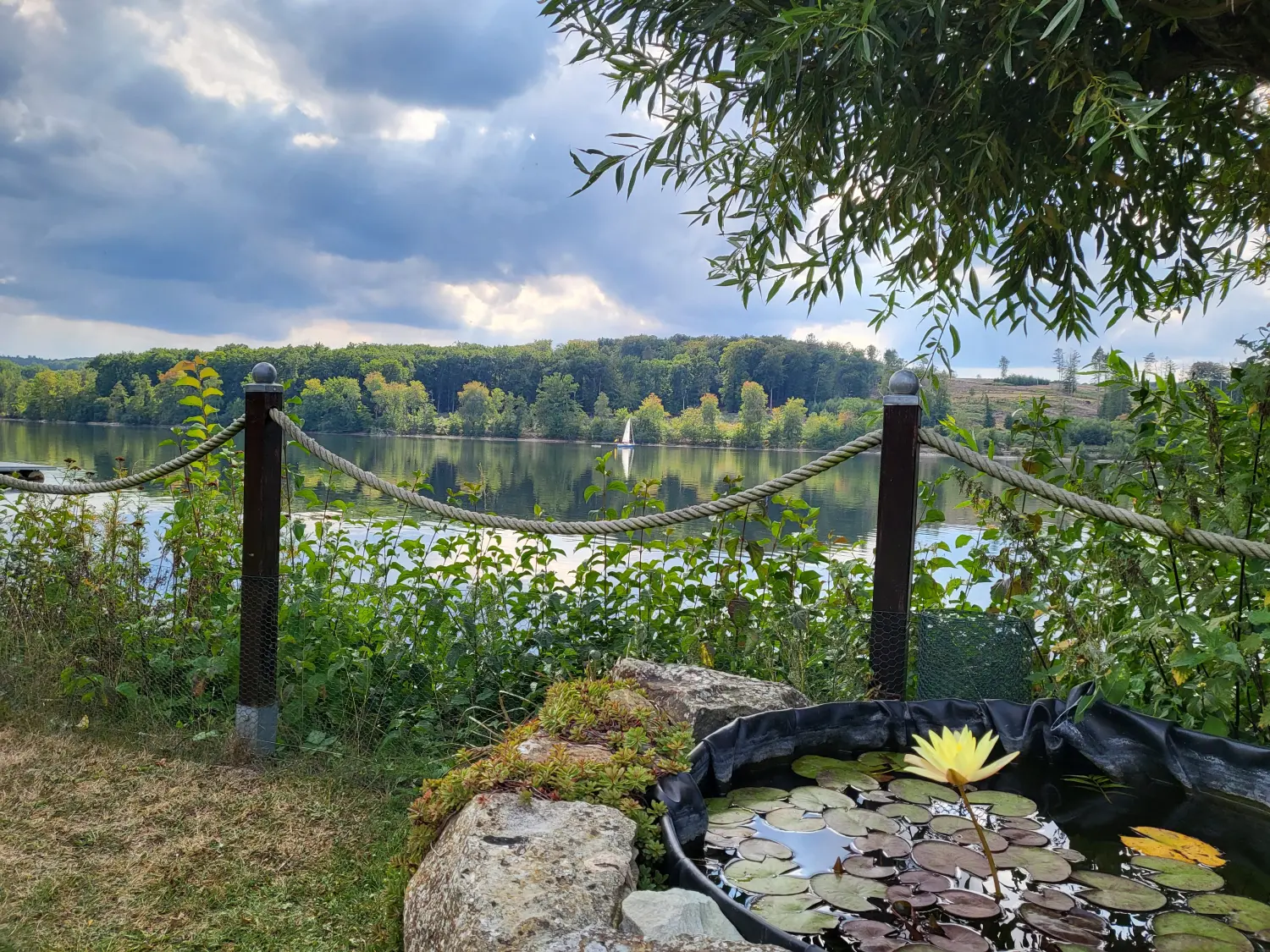 Strandwiese beim Strandhof Möhnesee
