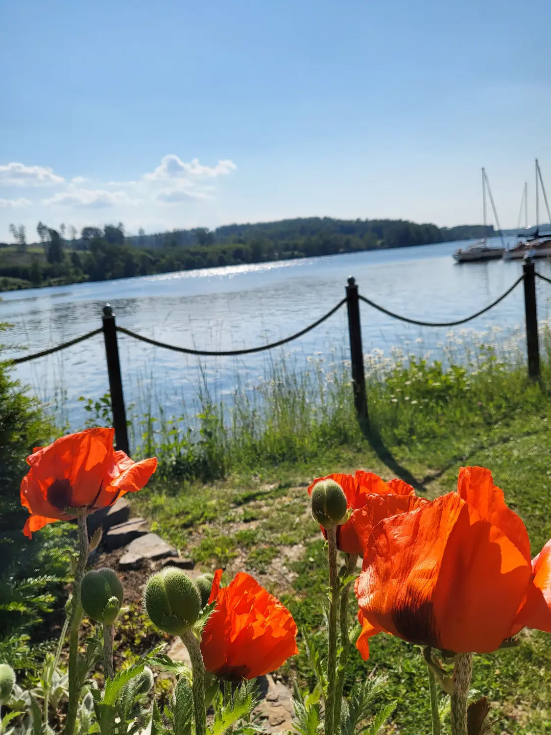 Strandwiese mit Blick auf den Möhnesee und den Arnsberger Wald vom Strandhof Möhnesee